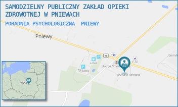 PORADNIA PSYCHOLOGICZNA - SAMODZIELNY PUBLICZNY ZAKŁAD OPIEKI ZDROWOTNEJ W PNIEWACH - 2A,  PNIEWY