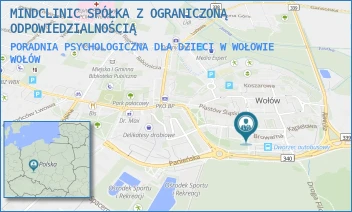 PORADNIA PSYCHOLOGICZNA DLA DZIECI W WOŁOWIE - MINDCLINIC SPÓŁKA Z OGRANICZONĄ ODPOWIEDZIALNOŚCIĄ - PLAC SZKOLNY 1,  WOŁÓW